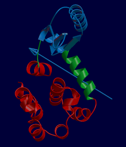 Cartoon representation of protein domain movement