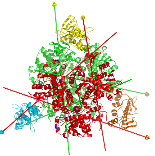 Cartoon representation of protein with many domain pairs
