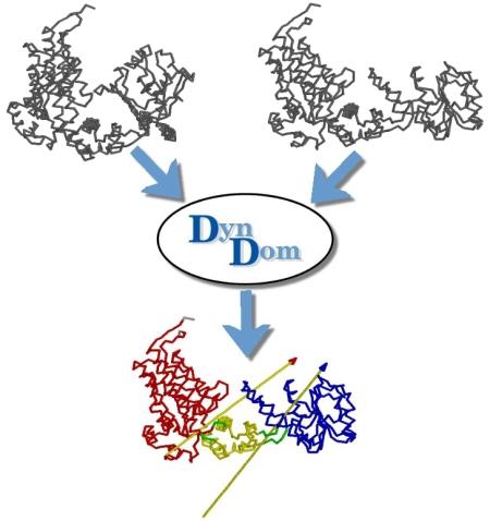 Diagram showing the DynDom process of using two conformations of a protein to identify domain information
